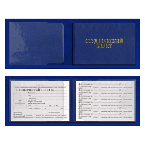 Обложка для студенческого билета Solo leveling фото