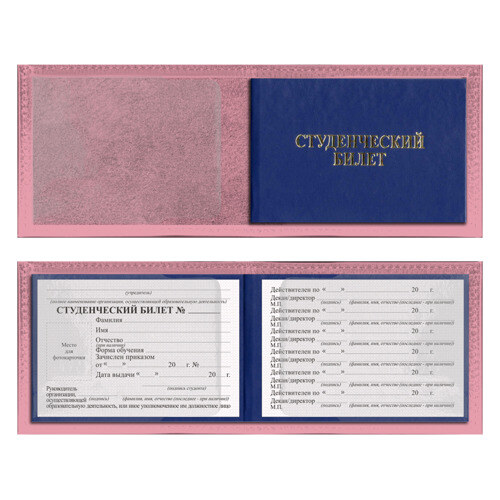 Обложка для студенческого билета Solo leveling фото