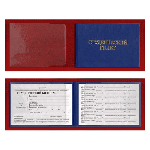 Обложка для студенческого билета Solo leveling фото